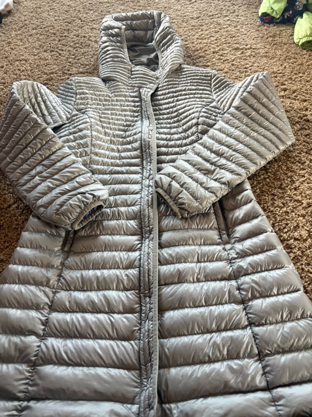 Patagonia Silver Hooded Lightweight Down Puffer Coat - Women's
